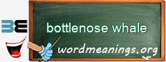 WordMeaning blackboard for bottlenose whale